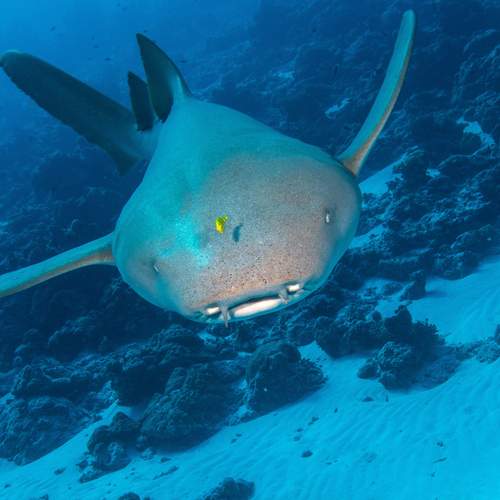 Photo #13328602