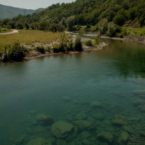 Photo #13328646