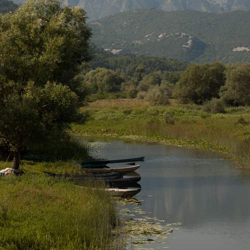 Photo #13328782