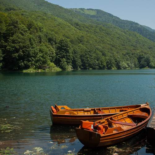 Photo #13328783
