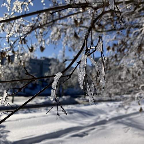 Photo #13328784