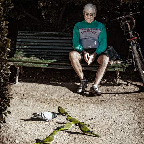Photo #13328860