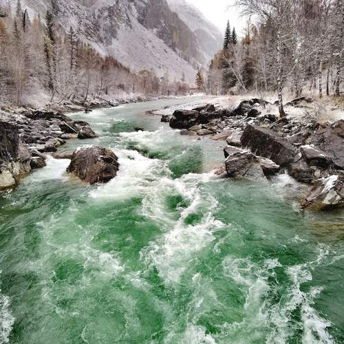 Photo #13328861