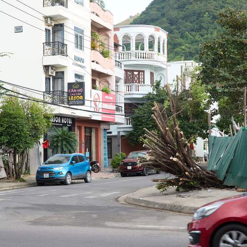 Photo #13328890