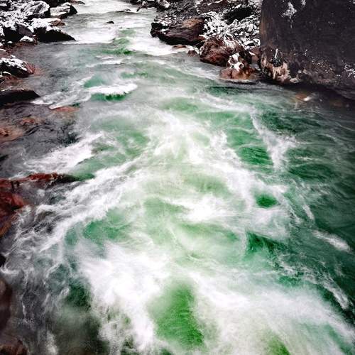 Photo #13328914