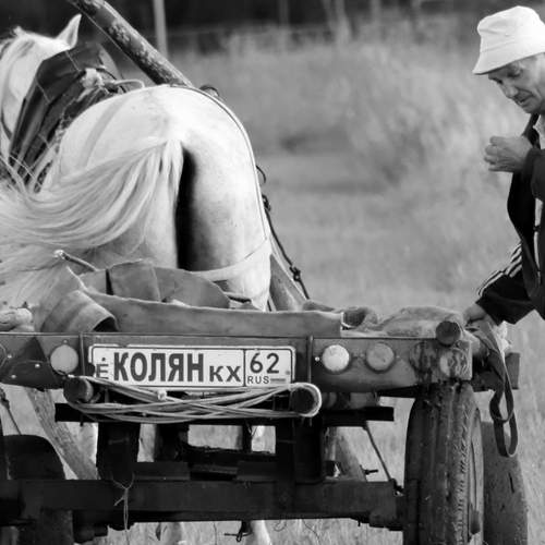 Photo #13328984