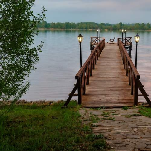 Photo #13329092