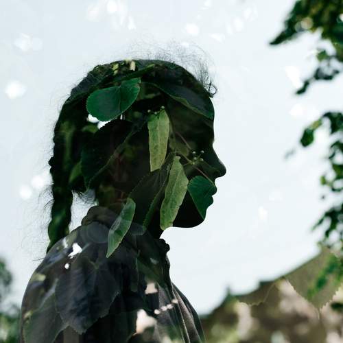 Photo #13329167