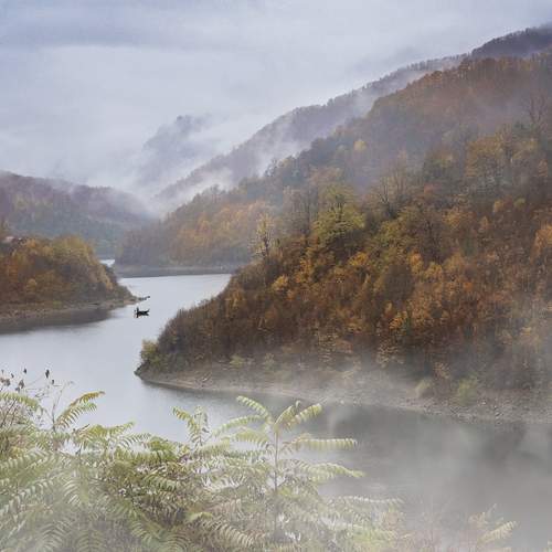 Photo #13329170