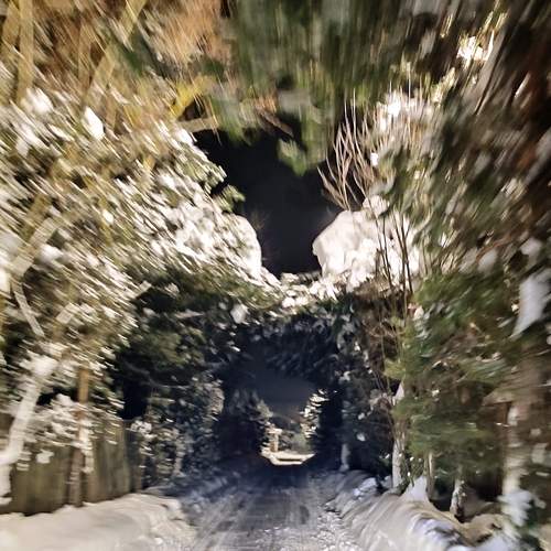 Photo #13329241