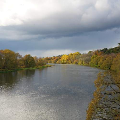 Photo #13329318