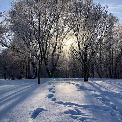 Photo #13329351
