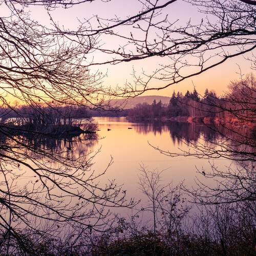 Photo #13329447