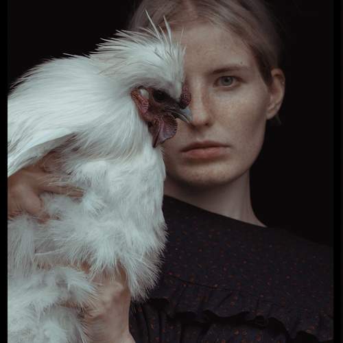 Дама с курой