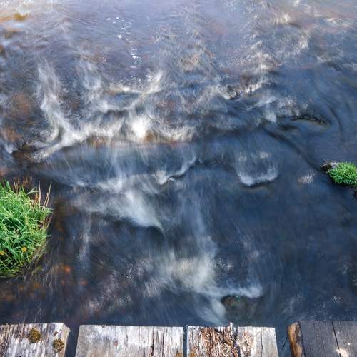 Photo #13329508