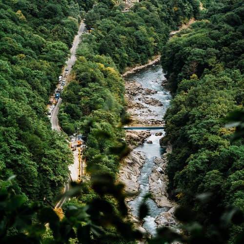 Photo #13329637
