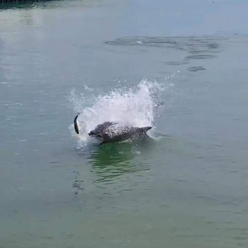 Photo #13329645