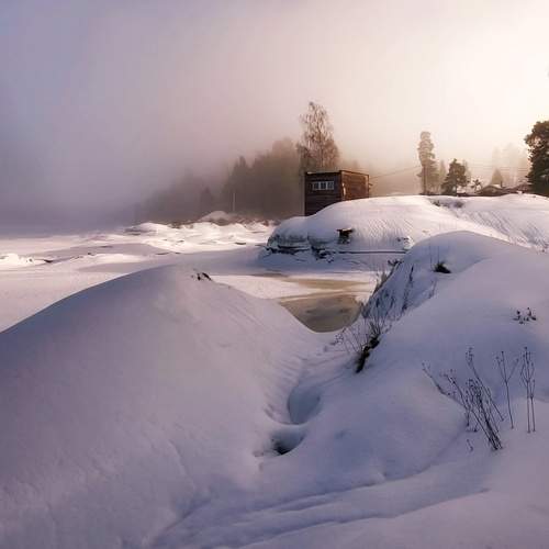 Photo #13329657