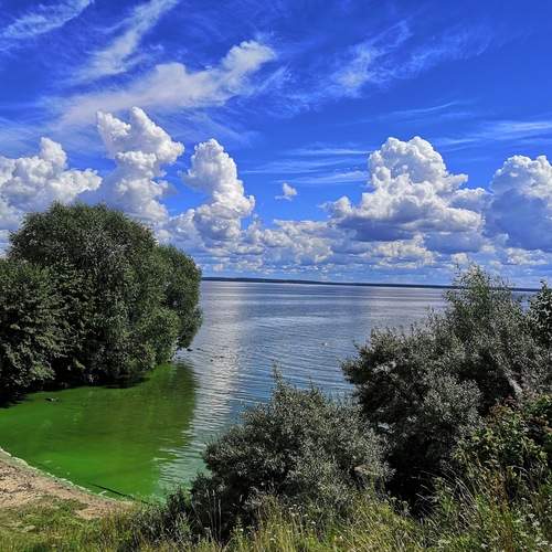 Photo #13329671