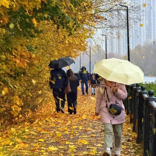Fall People