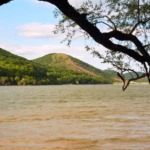 Photo #13329762