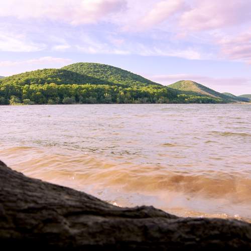 Photo #13329763
