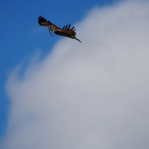 Photo #13329769