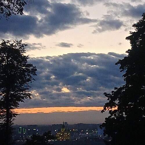 Photo #13329807