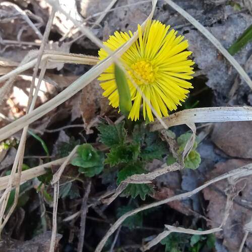 Photo #13329825