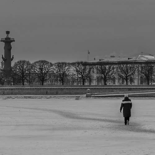 Photo #13329880