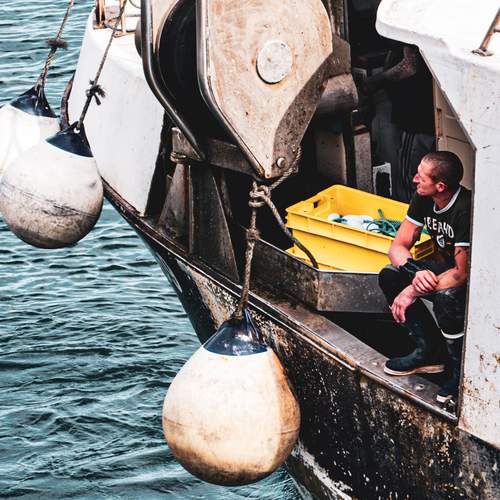 Photo #13329894