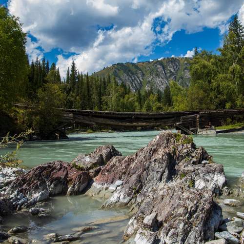 Photo #13329950
