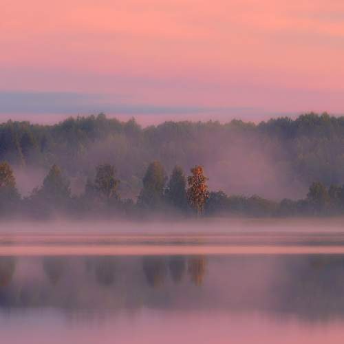 Photo #13329963