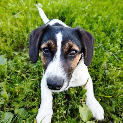 Photo #13330039