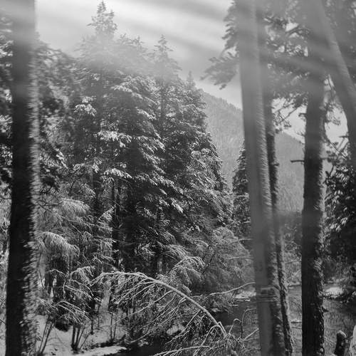 Photo #13330132