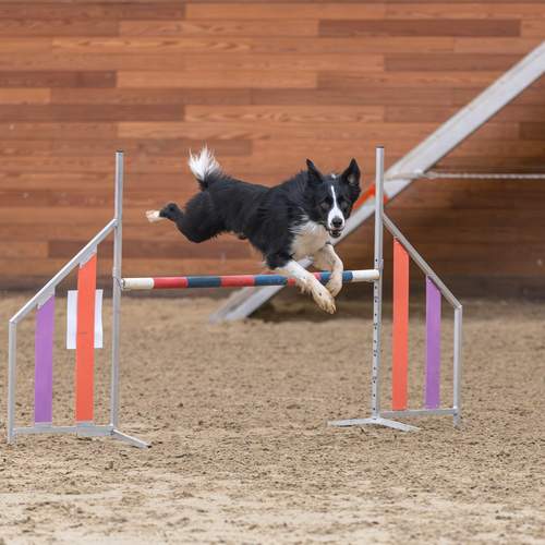 Фотография #13330139