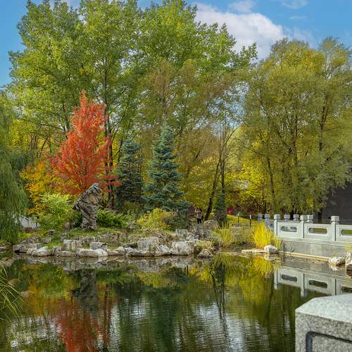 Photo #13330167