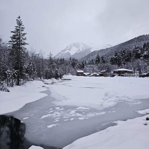 Photo #13330179