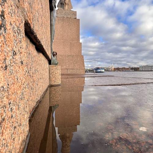 Photo #13330228