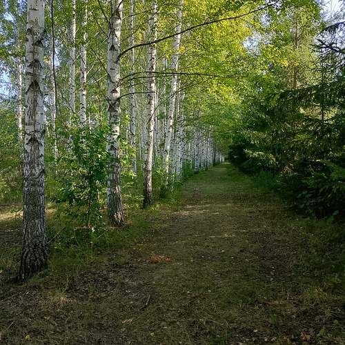 Photo #13330241