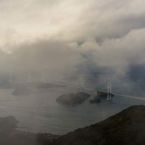 Photo #13330295