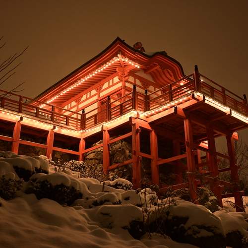 Photo #13330307