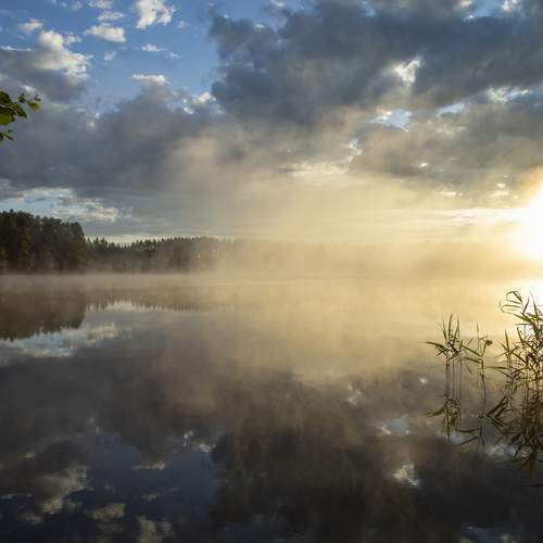 Photo #13330365