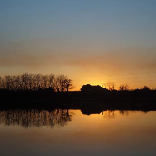 Photo #13330371