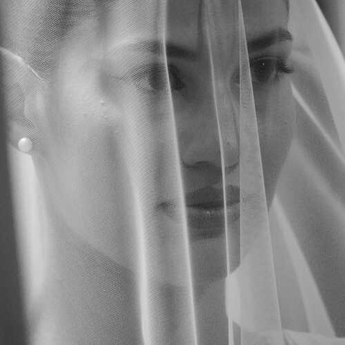 Photo #13330378