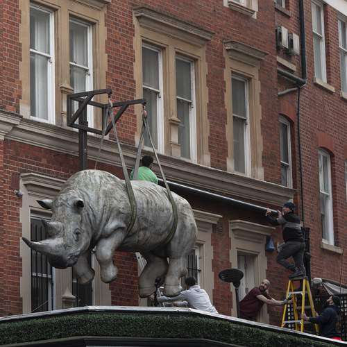 Photo #13330379