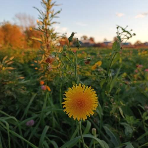 Photo #13330393