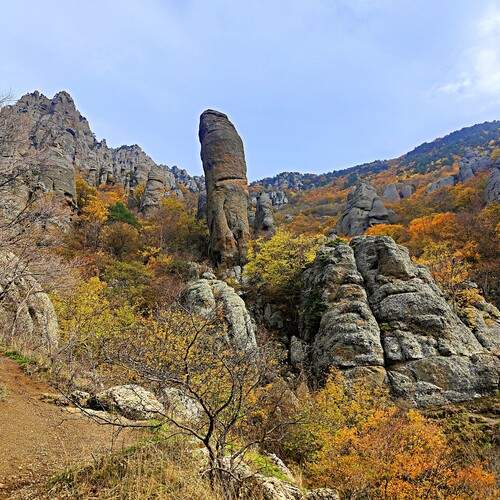 Photo #13330448