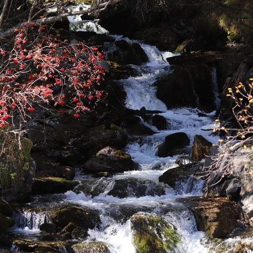 Photo #13330456
