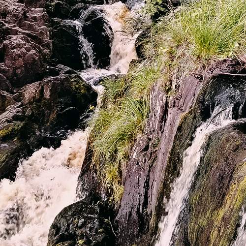 Photo #13330465